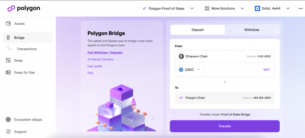 Polygon Bridge

